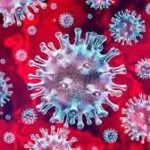 How SEOs Can Respond to Coronavirus